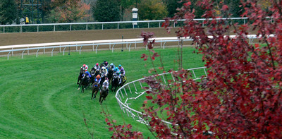 151030BreedersCup_KD0250