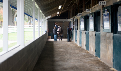 151030BreedersCup_KD0003
