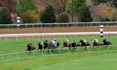 151030BreedersCup_KD0152