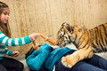 160110TigerPlaytime0054