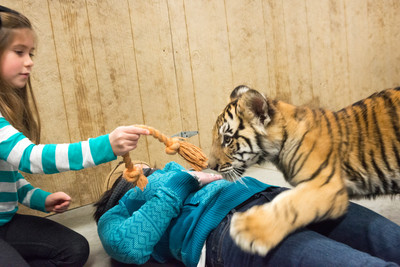 160110TigerPlaytime0054