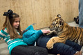 160110TigerPlaytime0061