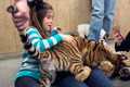 160110TigerPlaytime0118