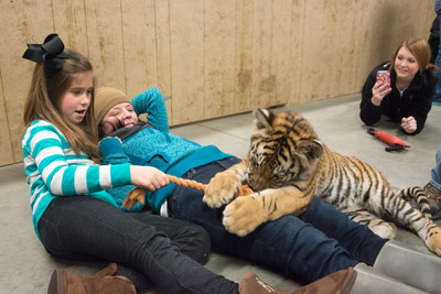 160110TigerPlaytime0069