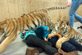 160110TigerPlaytime0067