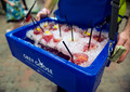 150502Derby-Oaks0024A