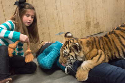 160110TigerPlaytime0056