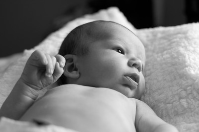 GraysonMichaelMcLaughlin-2817