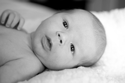 GraysonMichaelMcLaughlin-2731
