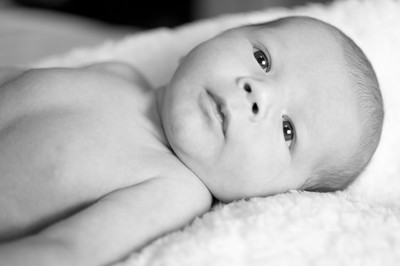 GraysonMichaelMcLaughlin-2694