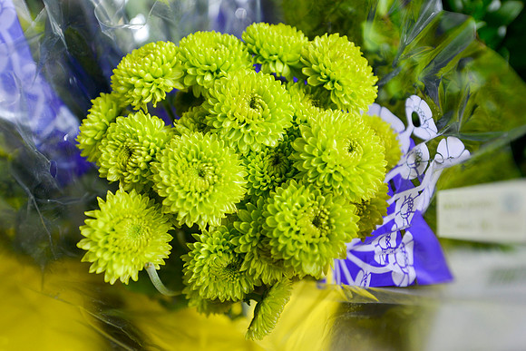 2019MossFlowers0055
