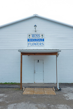 2019MossFlowers0226