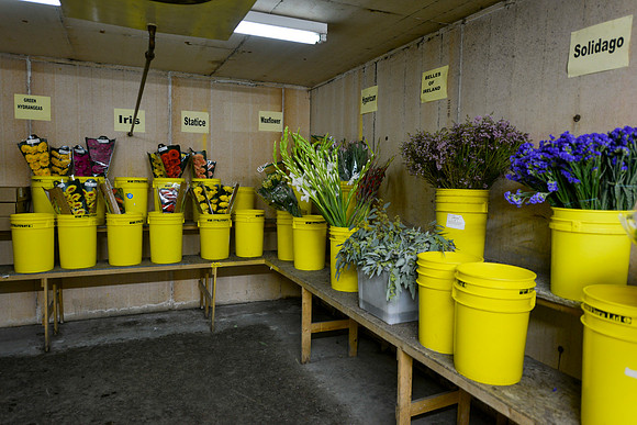 2019MossFlowers0054