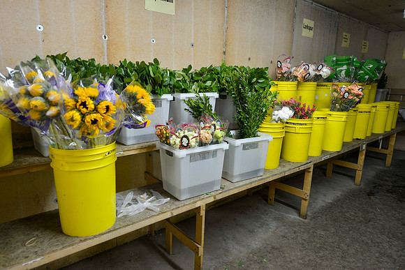 2019MossFlowers0049