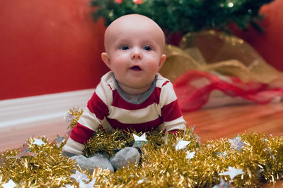 161204FowlerChristmas0138B