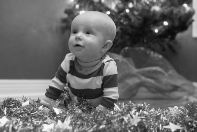 161204FowlerChristmas0145C