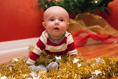 161204FowlerChristmas0138