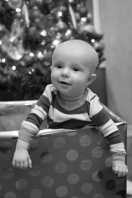 161204FowlerChristmas0084B
