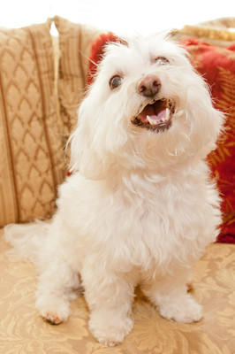 20110624-_DDD6545