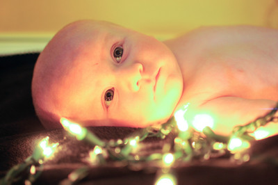 ShieldsChristmas-8393