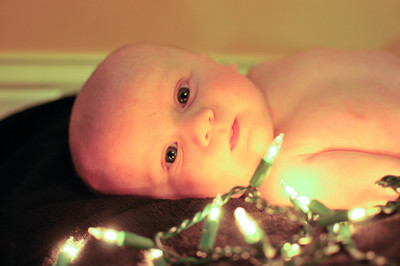 ShieldsChristmas-8382
